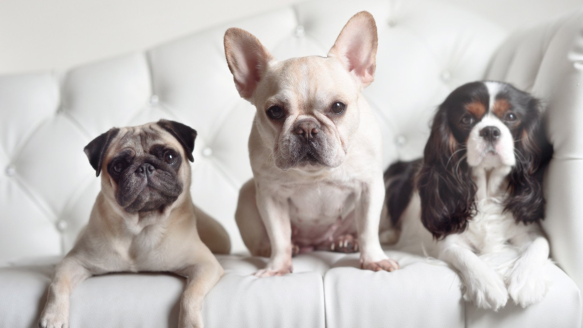 逆转夜:那些让球迷用生命呐喊的比赛,逆转最多的球队