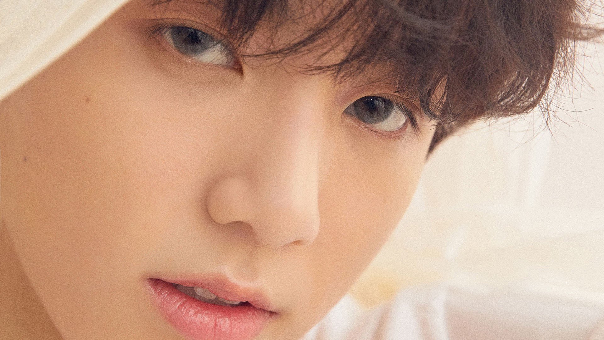 九游官网下载电脑版-逆风飞扬：用勇气逆天改命的足球战士，逆风飞扬下一句