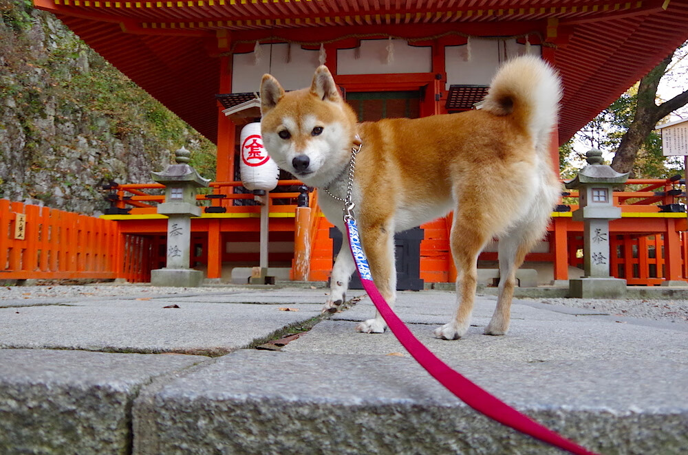 FaZe尝试签下英雄联盟主播团队,faze战队成员