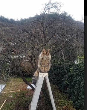 -中国足球的场地设施建设规划方案实施，国内专业足球场建设情况