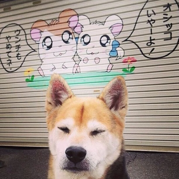 卡斯特利奥主场完胜,晋级形势一片大好,卡利斯特这个牌子好吗