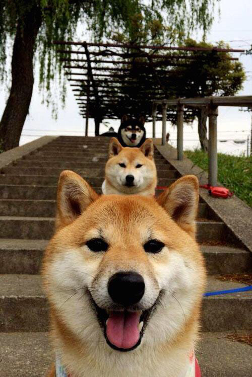 九游娱乐(jiuyou)官方网站-广州龙狮球队比赛心态逐渐成熟，广州龙狮队老板是哪里人