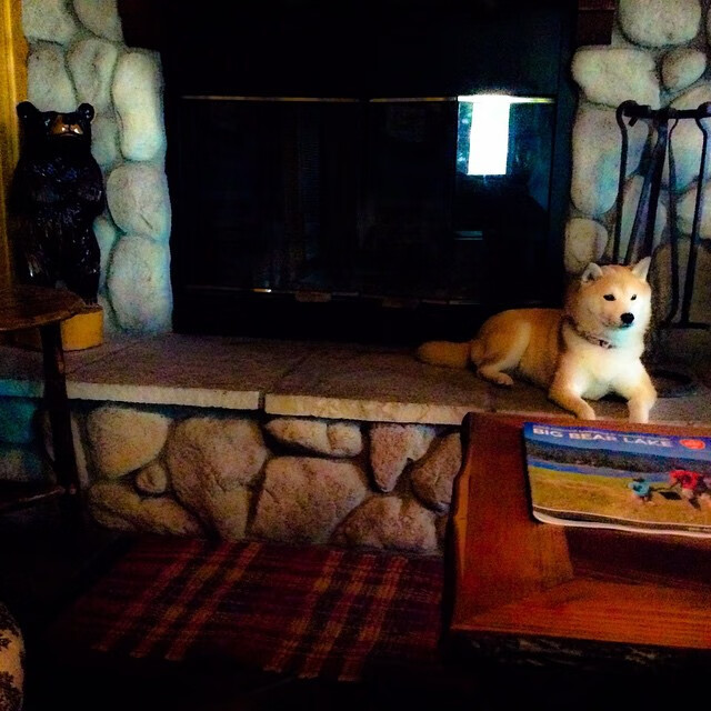 球员状态神勇,对抗局势紧张刺激,球员的状态