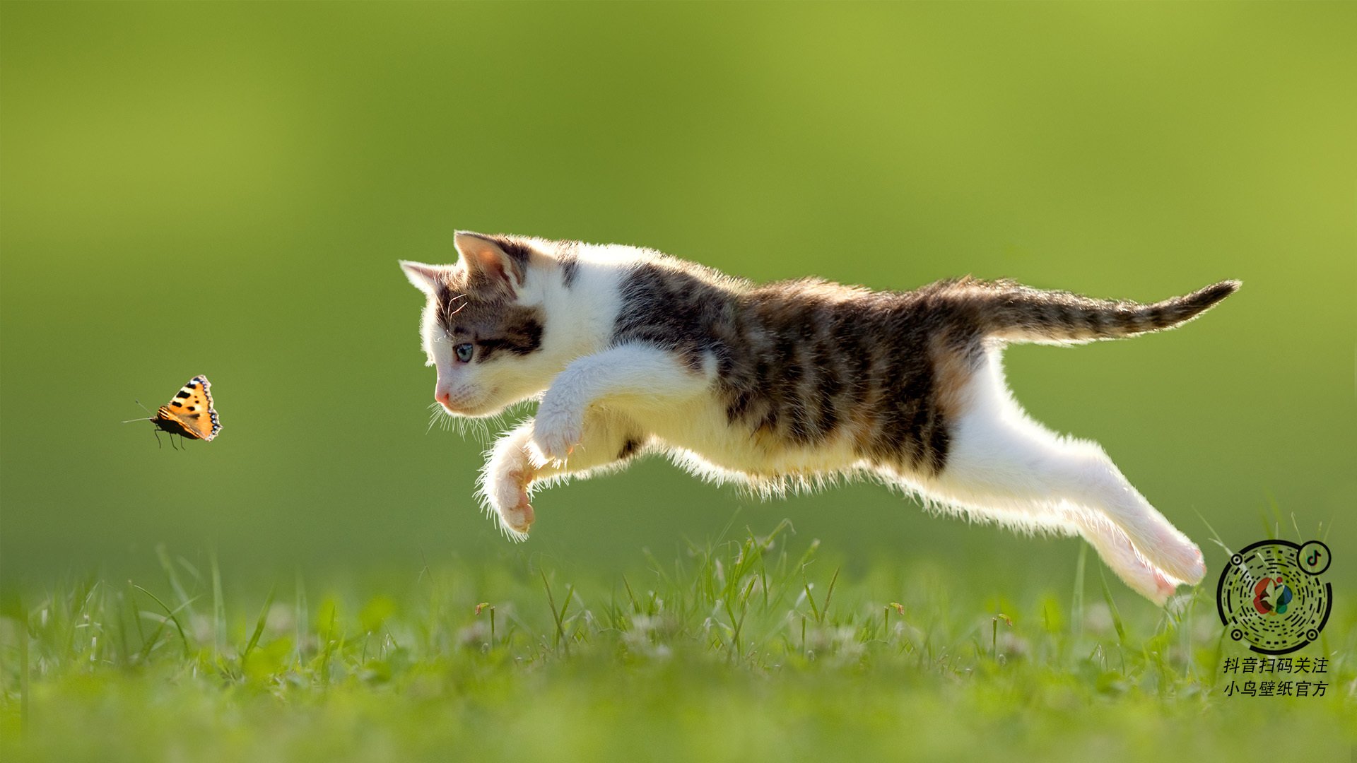 九游网游官网-球队们将如何调整战术迎接下一场比赛？，球队们将如何调整战术迎接下一场比赛英语