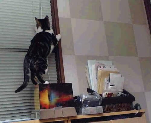 防线连续失球,困扰球队备战思考不已,篮球连防是什么