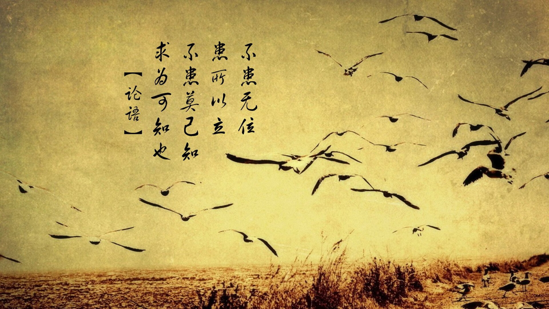 雷霆险胜尼克斯,常规赛巅峰对决中亚历山大创下生涯新高,雷霆亚历山大季后赛数据