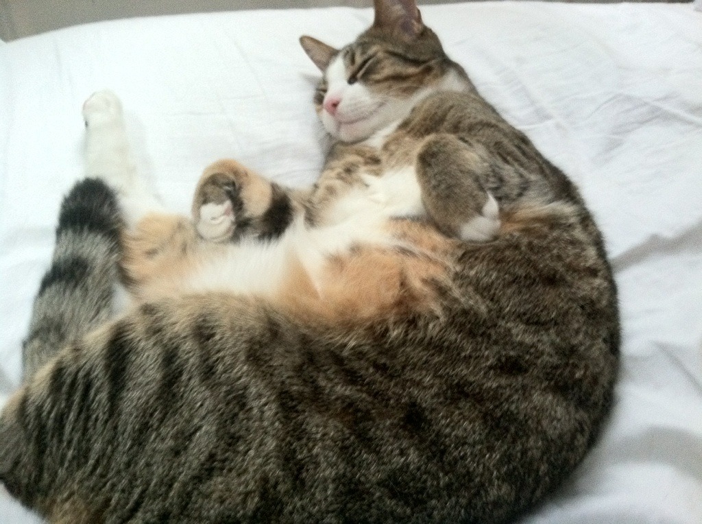 九游登录入口-青少年足球训练是否具备系统化规划，青少年足球培养