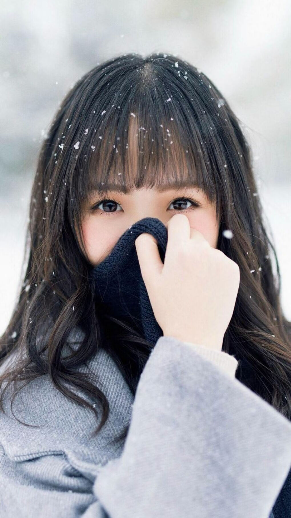 高校运动训练计划科学制定研究,运动训练计划的制定依据