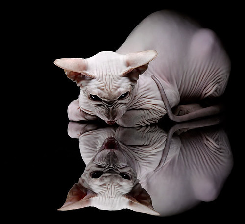 九游下载安装-都灵持续稳定表现提升积分排名，都灵态度怎么样