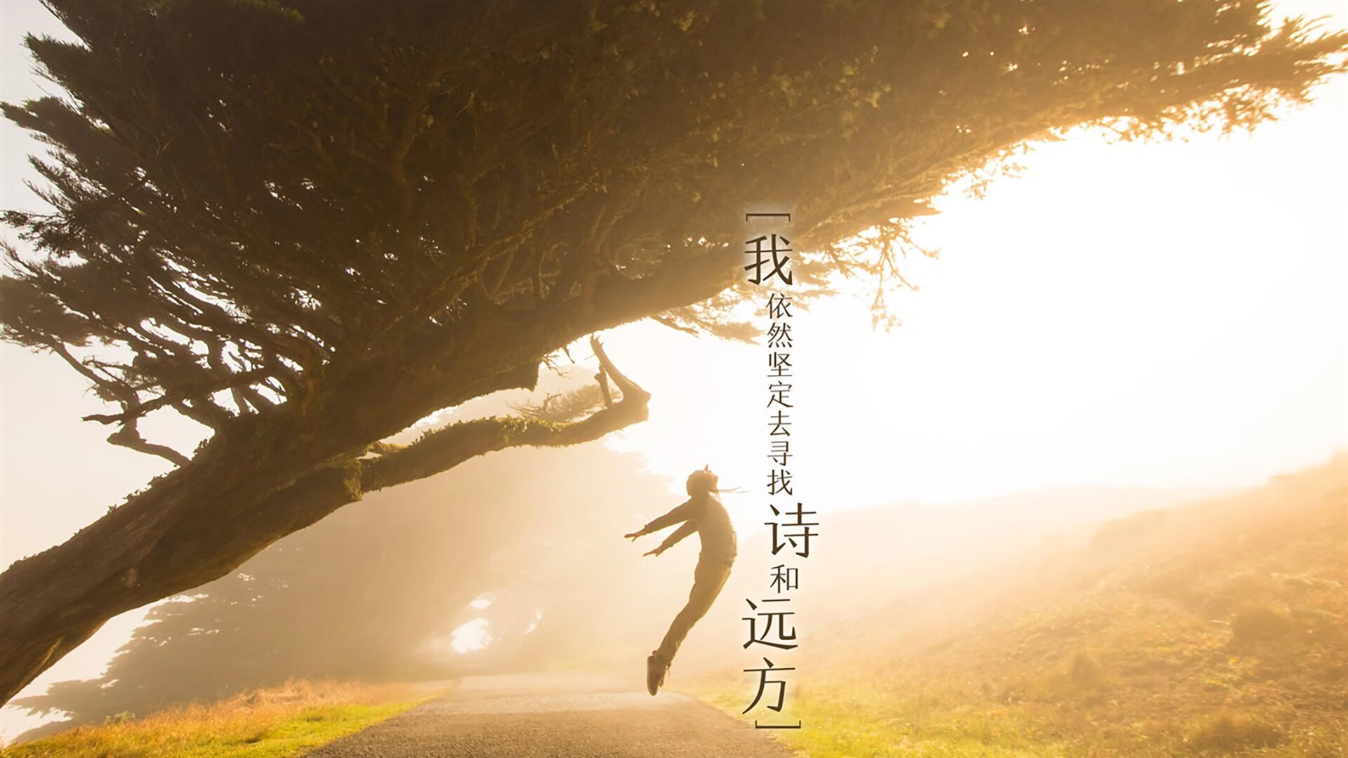 乌拉圭男篮在南美锦标赛中拼搏，为奥运梦想全力以赴，乌拉圭男篮实力