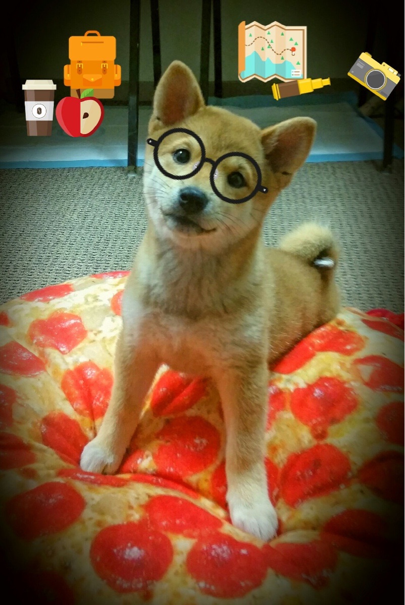 体育新闻中心通报运动装备自主品牌孵化支持计划，运动装备市场