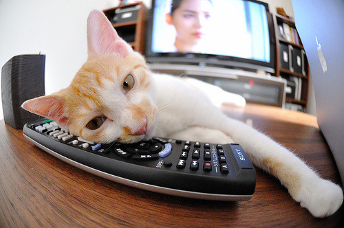 九游APP官网-库里称年轻球员需要更多比赛锻炼，库里 年纪