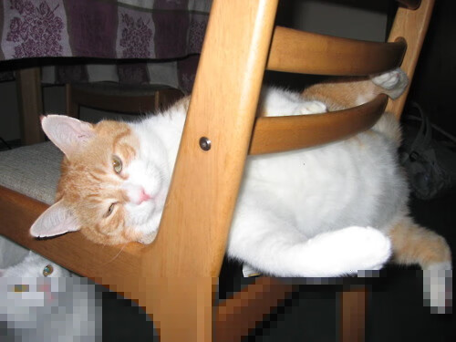 九游app下载中心-老牌劲旅完成赛季目标，稳居积分榜前列，劲旅网官方网站