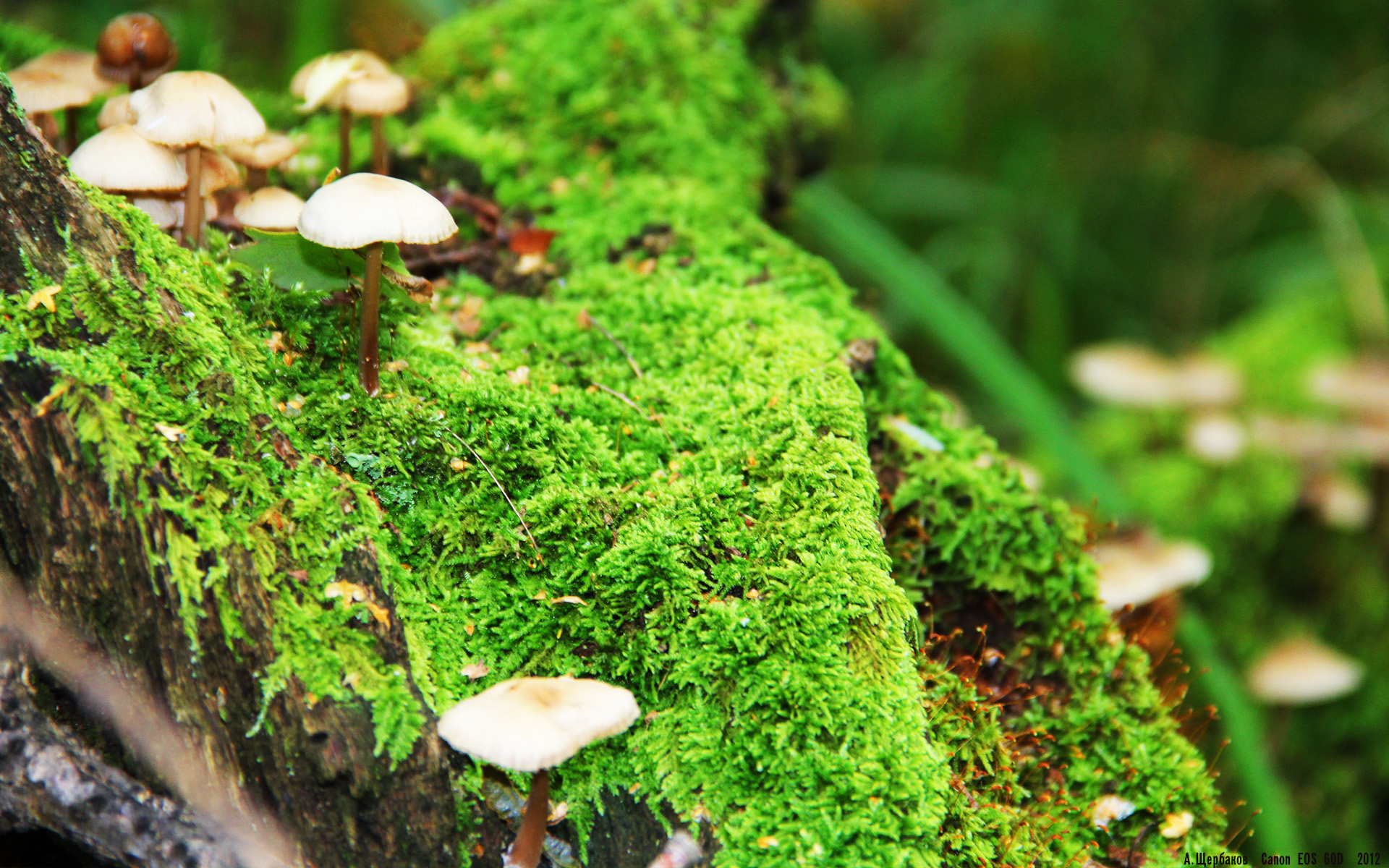 九游游戏中心-西甲妙不可言：盘带、射门、救球一一炫技，足球盘带技术最好的是谁